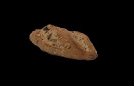 Navette aux Figues 50gr