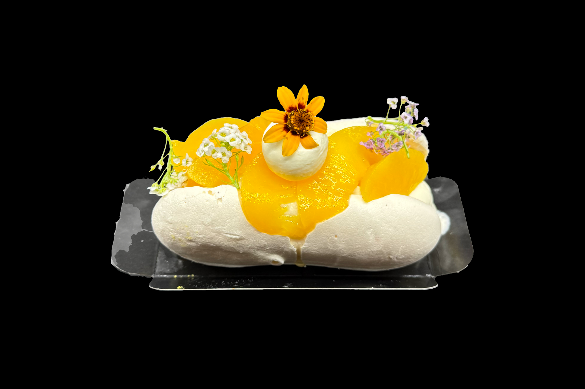 pavlova_ind_bg