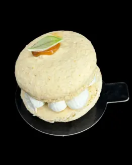 Macaron Pomme Caramel