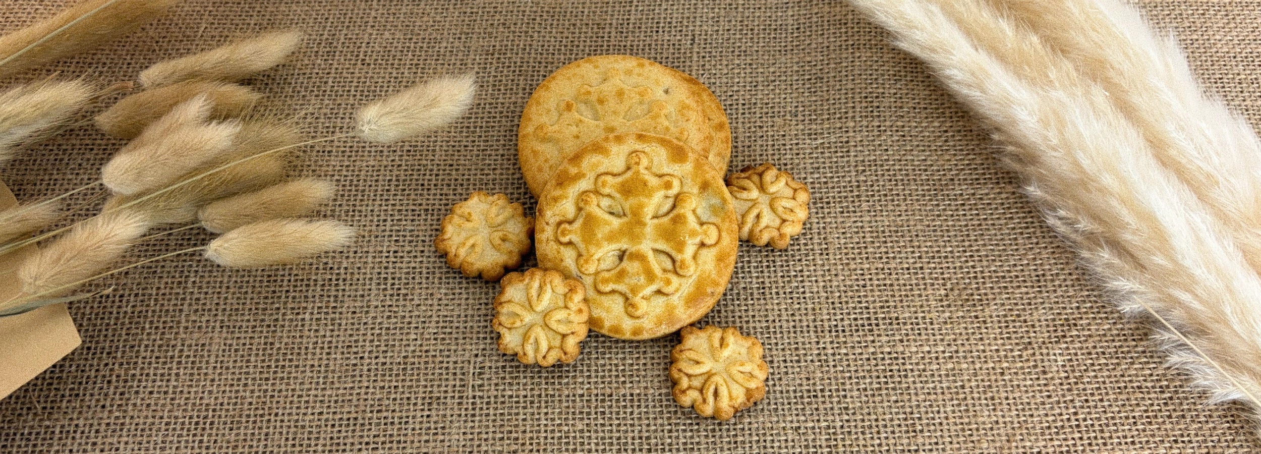 Trésors d'Occitanie